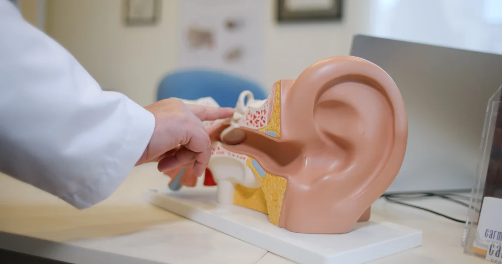 Protección auditiva